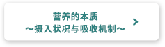 营养的本质～摄入状况与吸收机制～