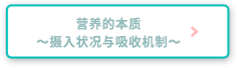 营养的本质～摄入状况与吸收机制～
