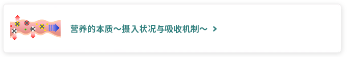 营养的本质～摄入状况与吸收机制～