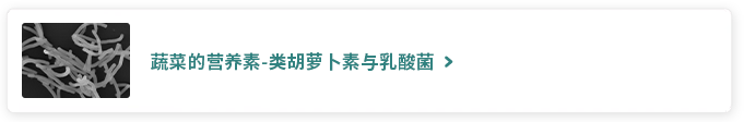 蔬菜的营养素-类胡萝卜素与乳酸菌