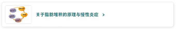 关于脂肪堆积的原理与慢性炎症